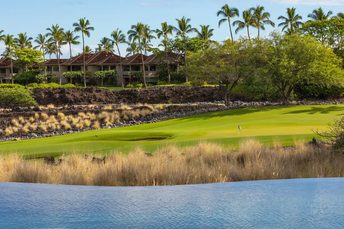 A golf green bordered by dry grasses, with palm trees and buildings behind it.