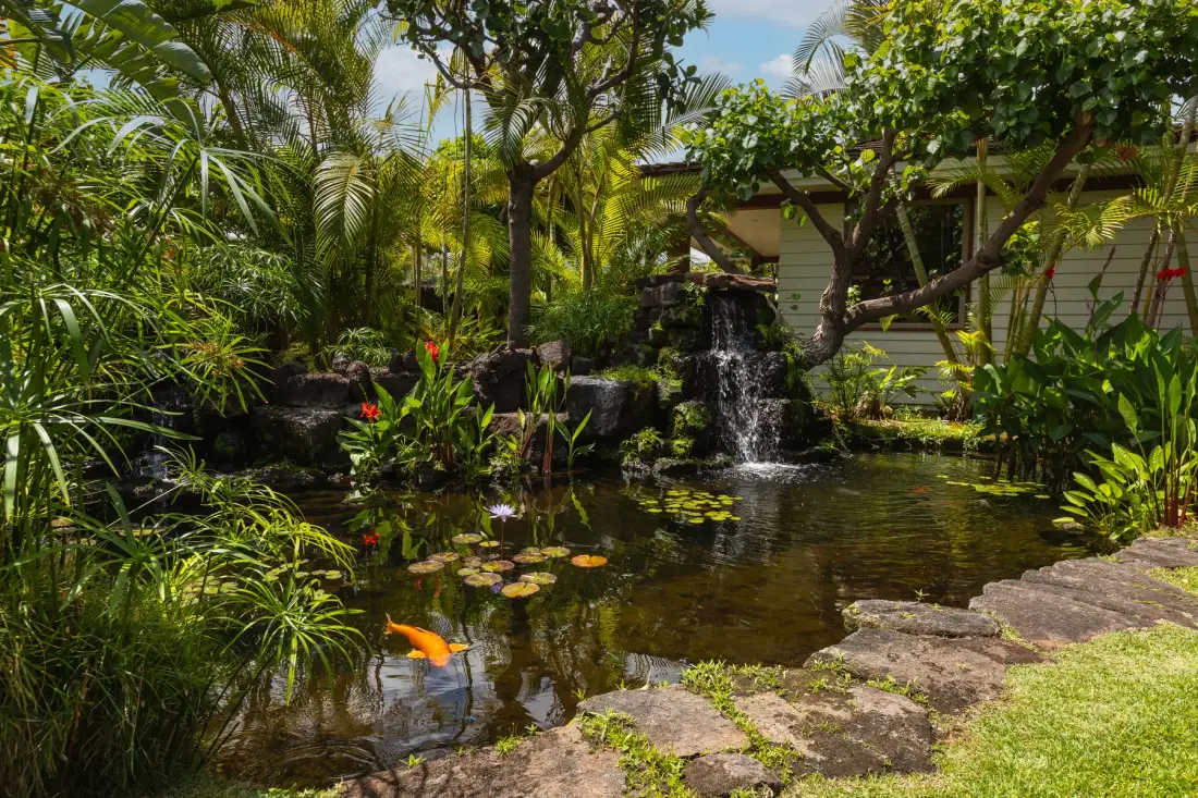 A garden pond with a small waterfall, surrounded by lush plants.