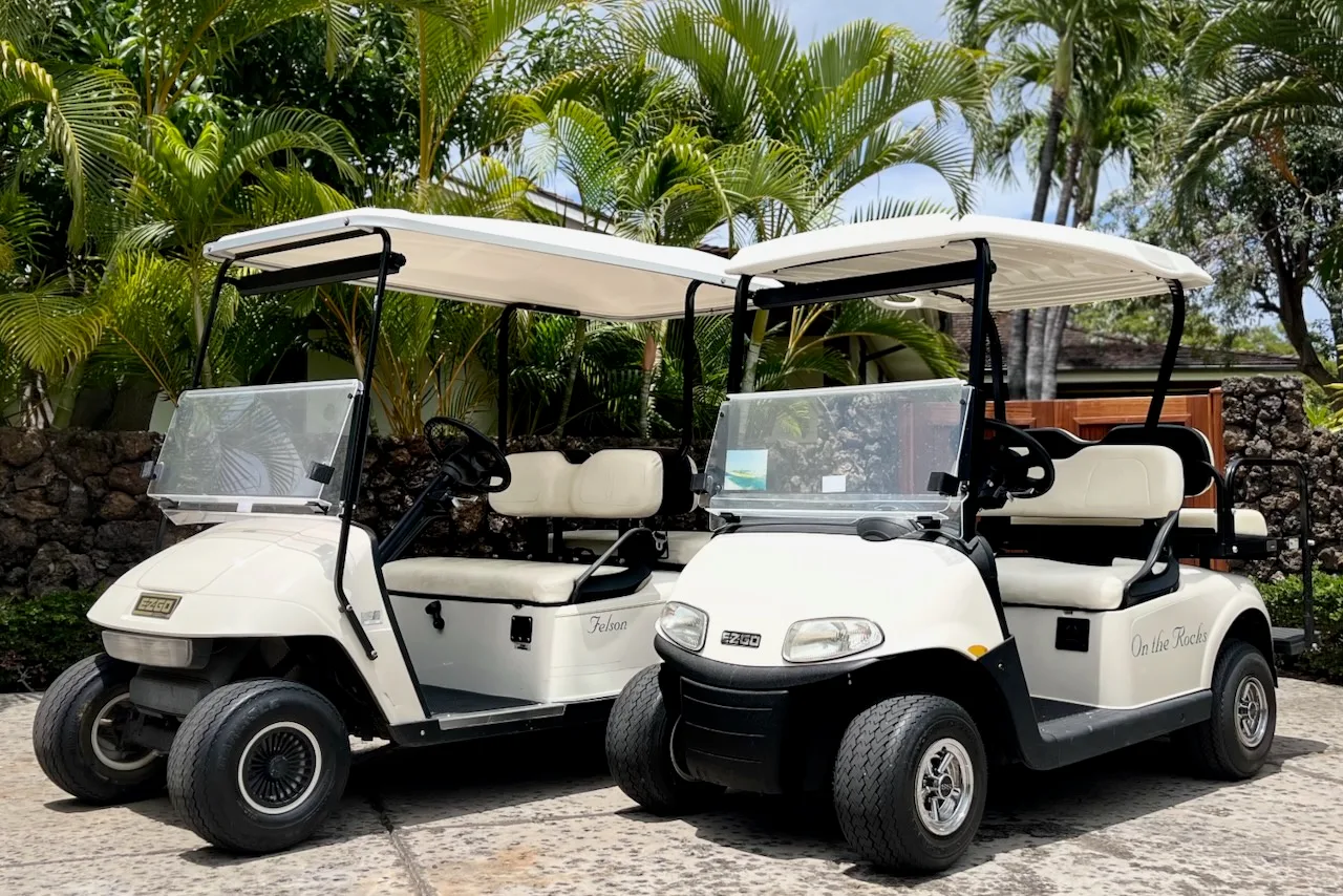 Two golf carts are parked on a paved path among palm trees.