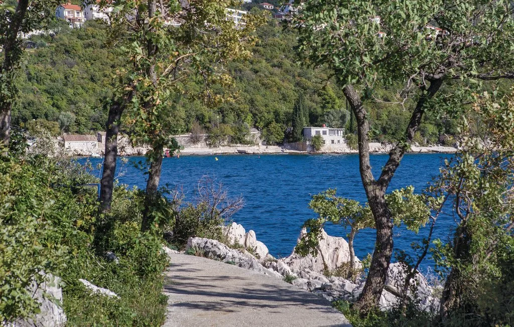 A paved path winds through trees toward a blue waterfront.
