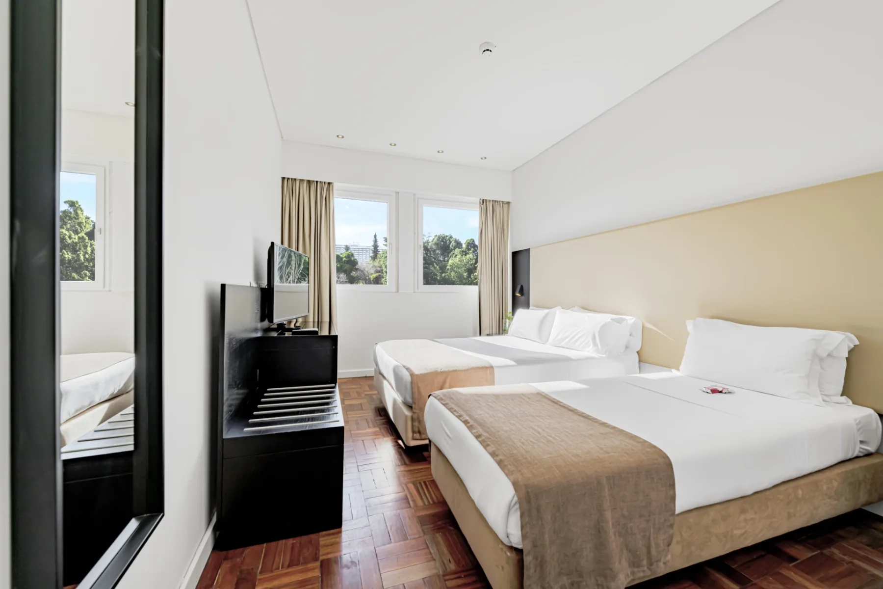 Suite tipo estudio superior