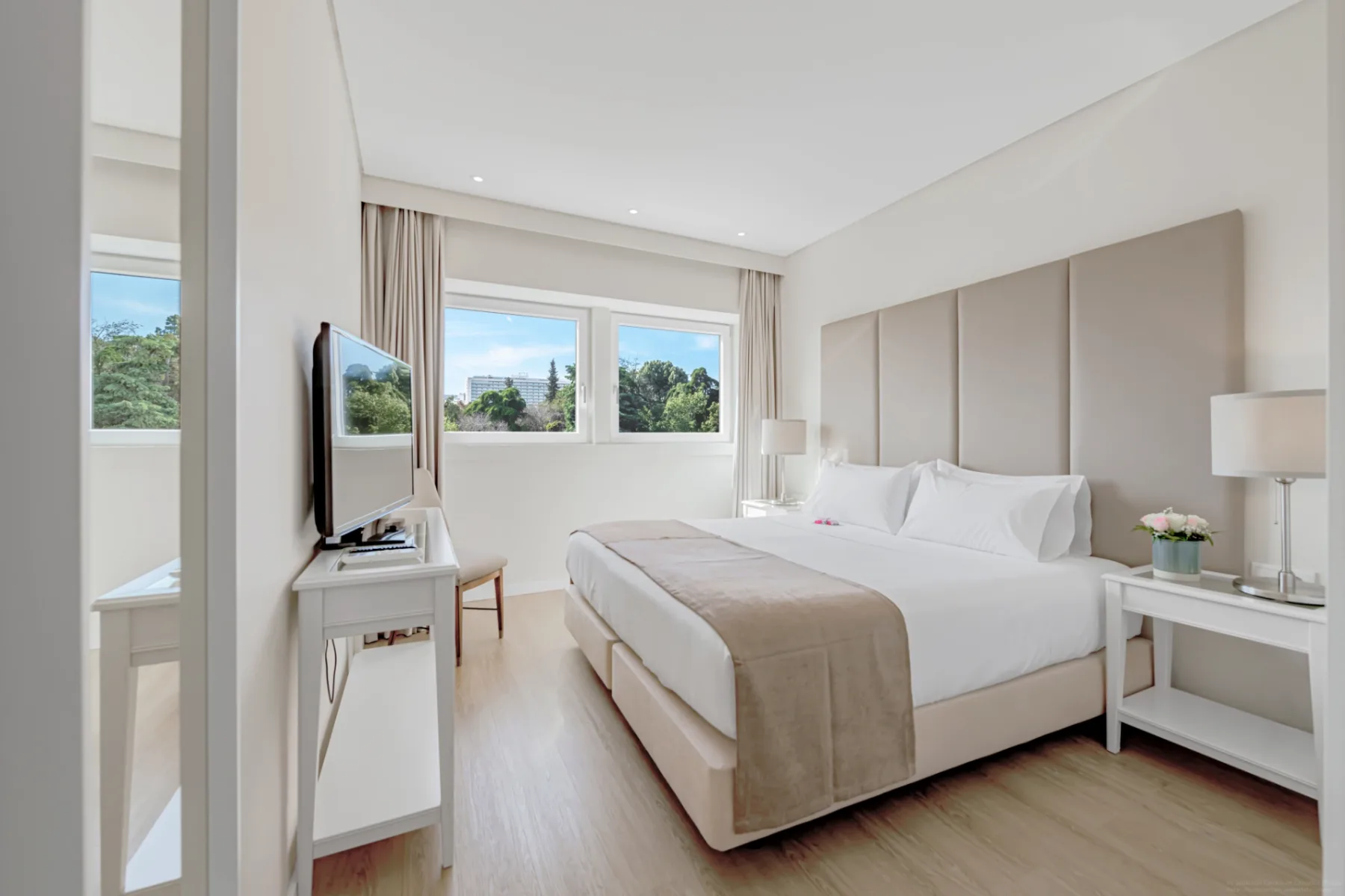 Suite de lujo