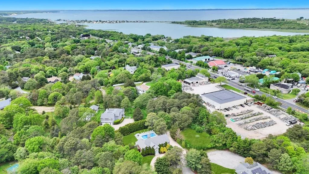 An aerial view of a leafy neighborhood beside a broad body of water.