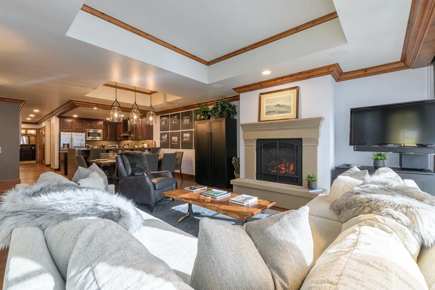A living room with seating, a fireplace, and a television.