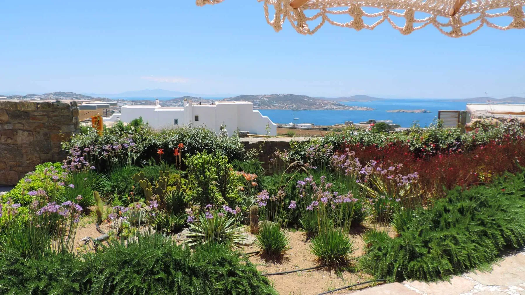 A flower garden overlooks the sea beneath a clear sky.