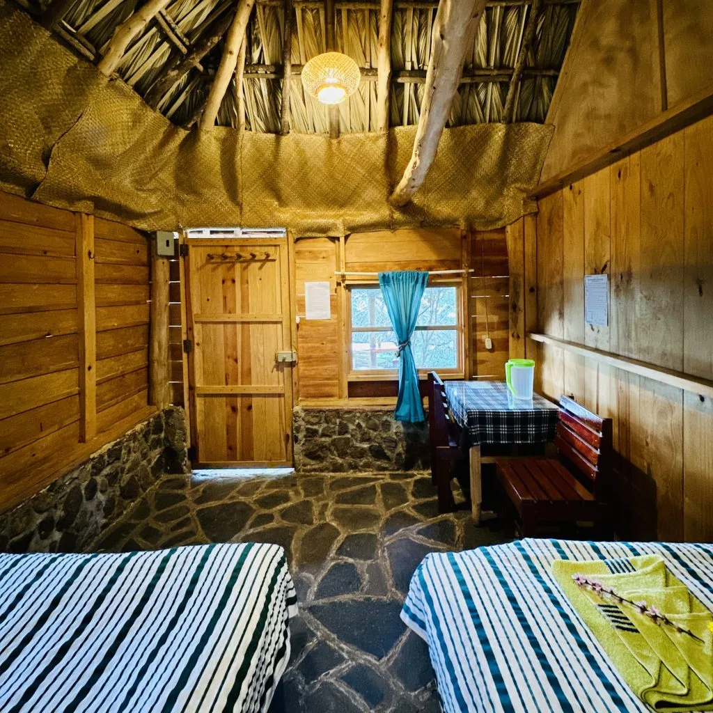 Libélula interior