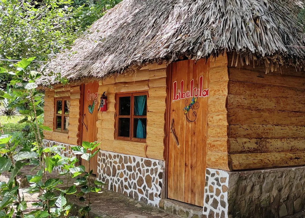 Libélula bungalow