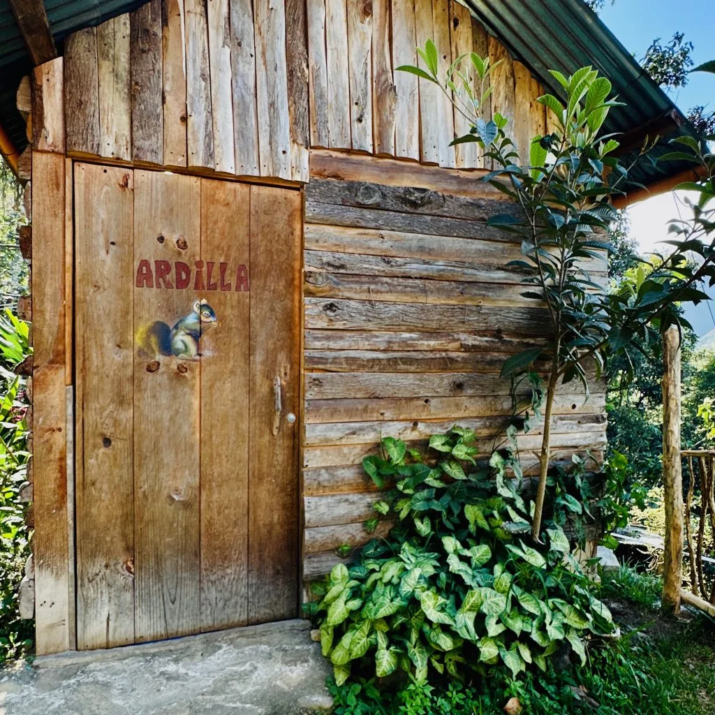 Ardilla exterior