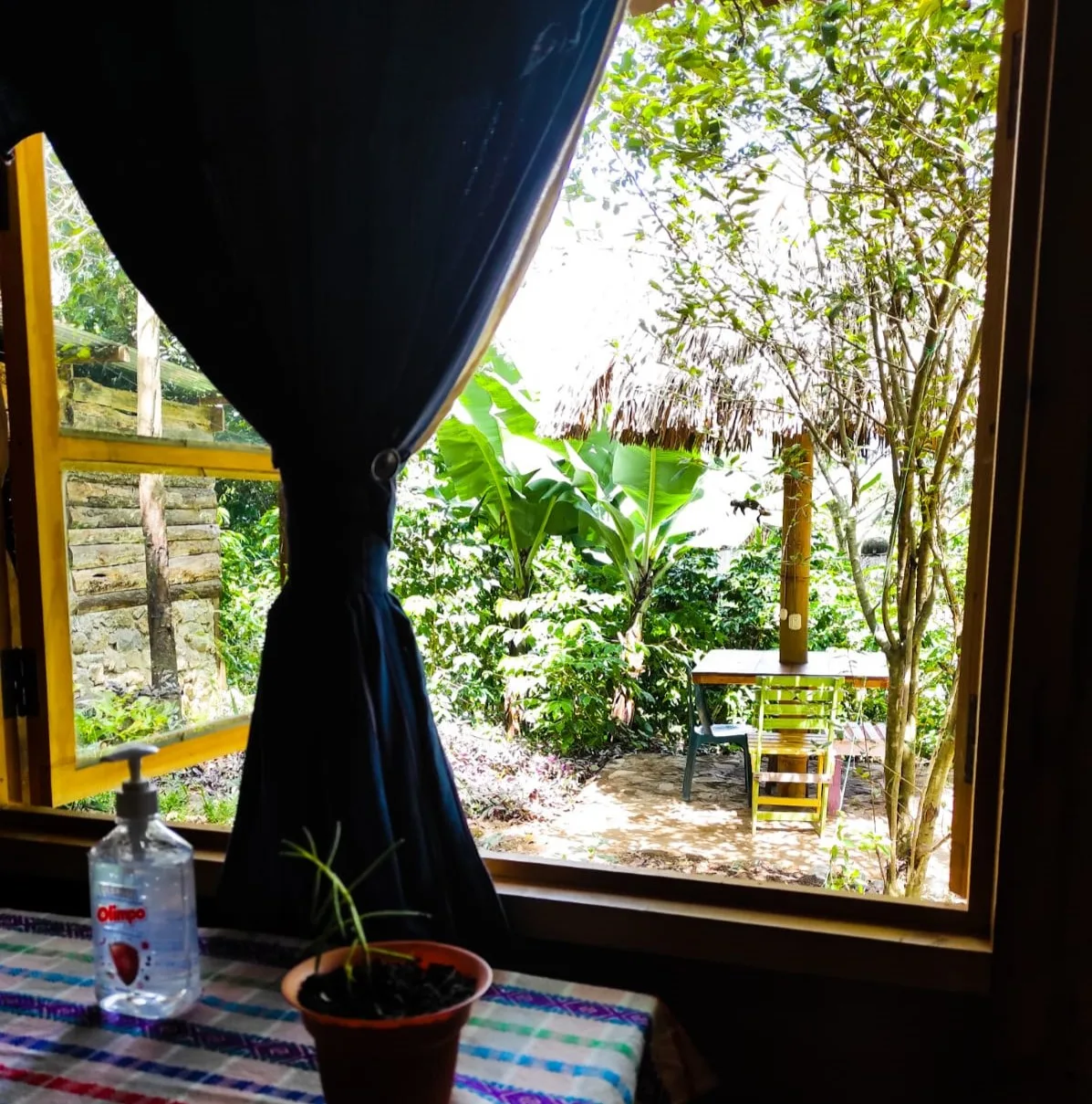 Libélula garden view