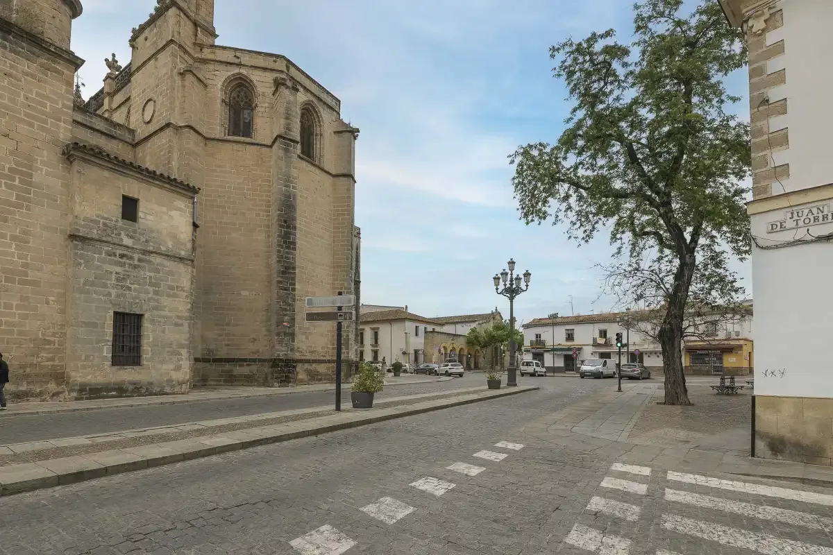 A paved town square with a large stone church, a tree, and street lamps.