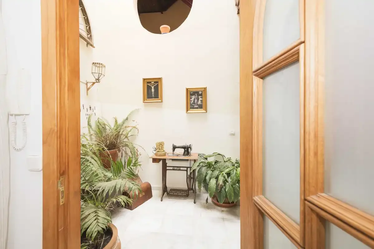A bright room with potted plants and a small table, viewed through a wooden doorway.