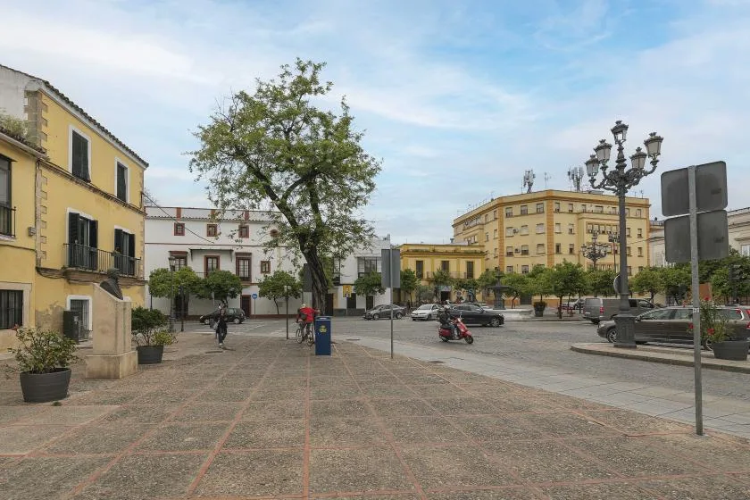A paved public square with surrounding buildings, trees, and street lamps.
