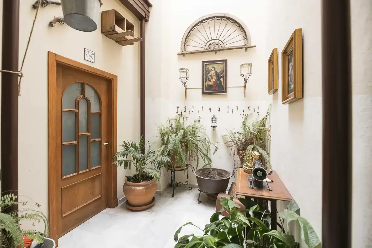 A bright indoor hallway with a wooden door and potted plants.