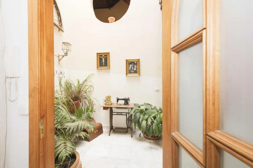 A bright interior hallway with potted plants and framed pictures.