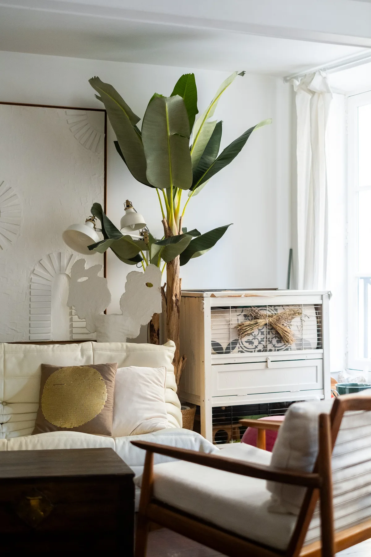 Una sala luminosa con una planta alta junto a un gabinete blanco.