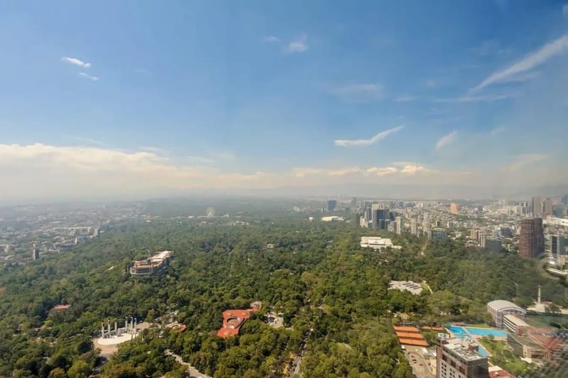 Luxurious 1BR with Panoramic View