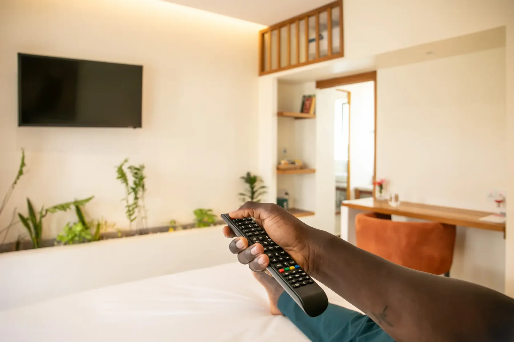 Smart TV y plantas de interior en una habitación Adventurer
