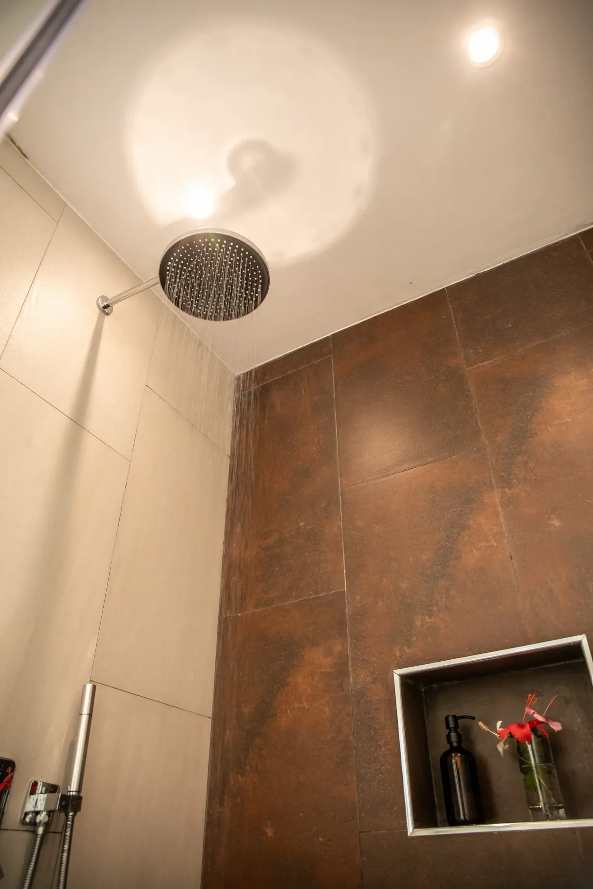 Ducha de lluvia