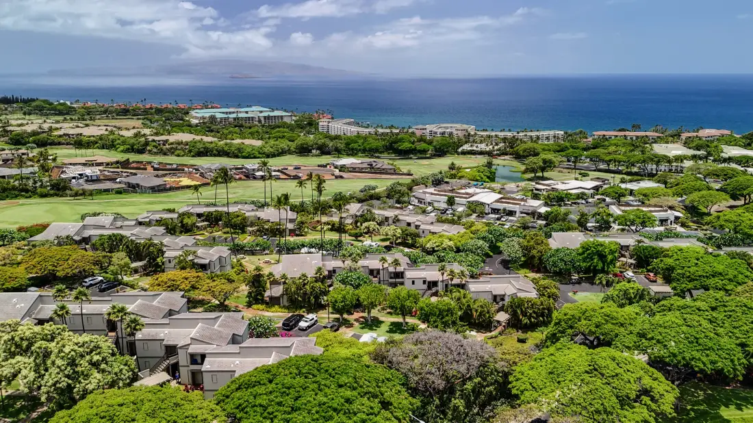 Aerial view of a coastal neighborhood with greenery and the ocean beyond.