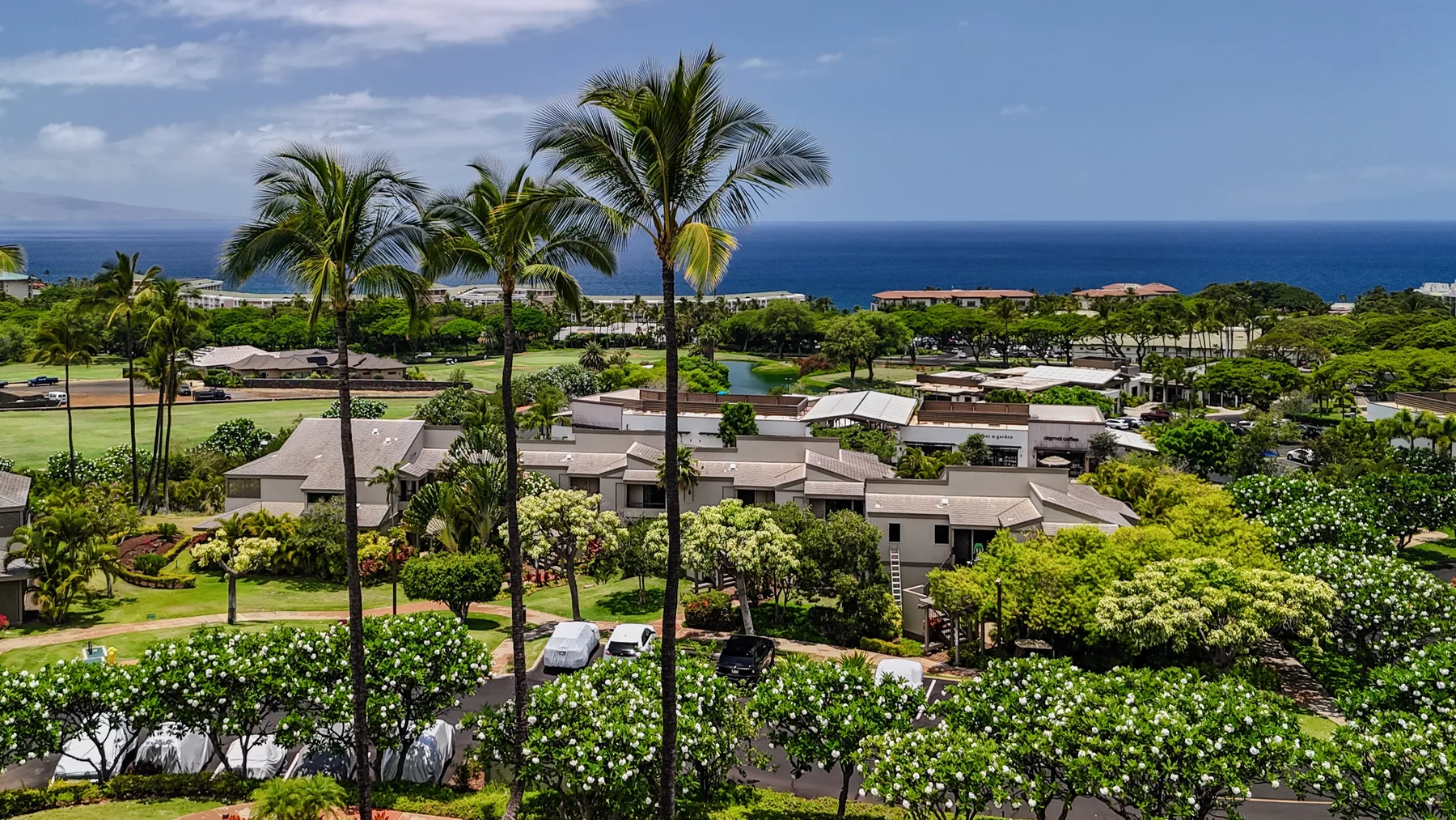 A tropical resort grounds with palm trees, low buildings, and the ocean beyond.
