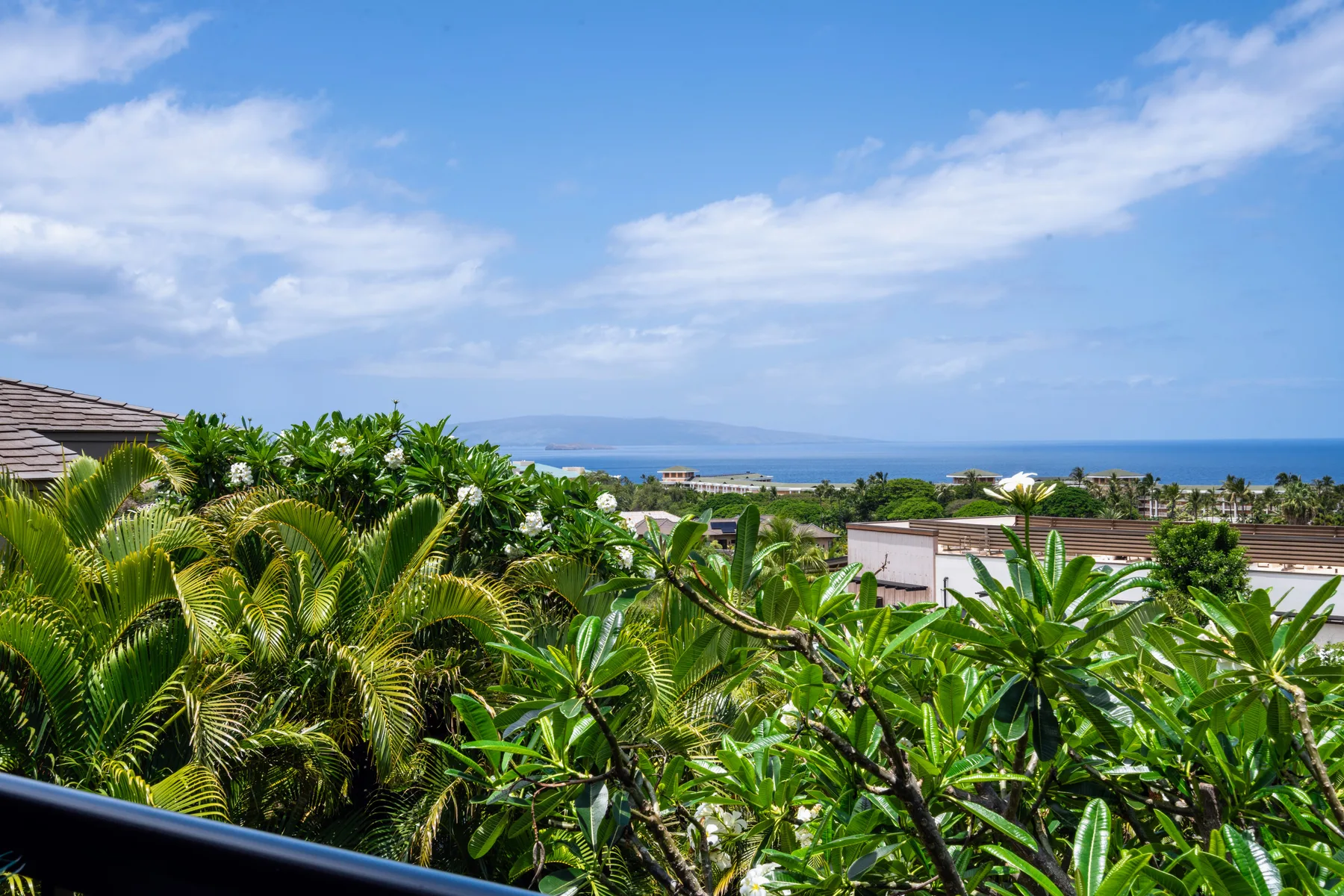 A tropical garden fills the foreground, with the ocean visible beyond.