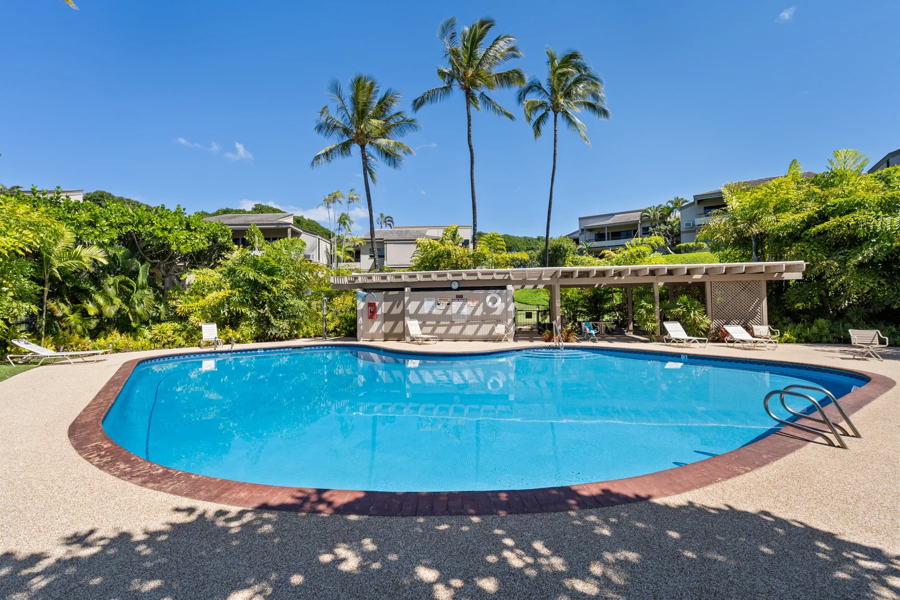 An outdoor swimming pool is surrounded by tropical greenery and palm trees.