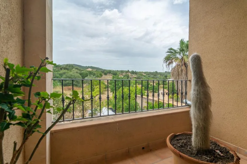 A balcony overlooks green hills, with a potted cactus beside the railing.