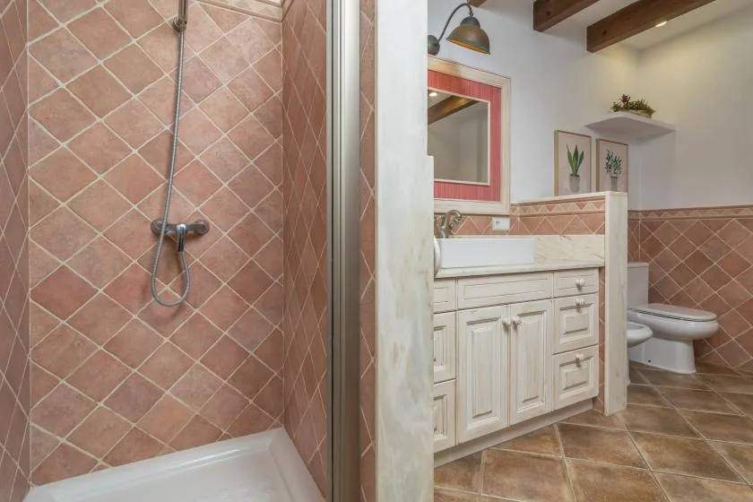 A bathroom with a tiled shower, sink vanity, and toilet.
