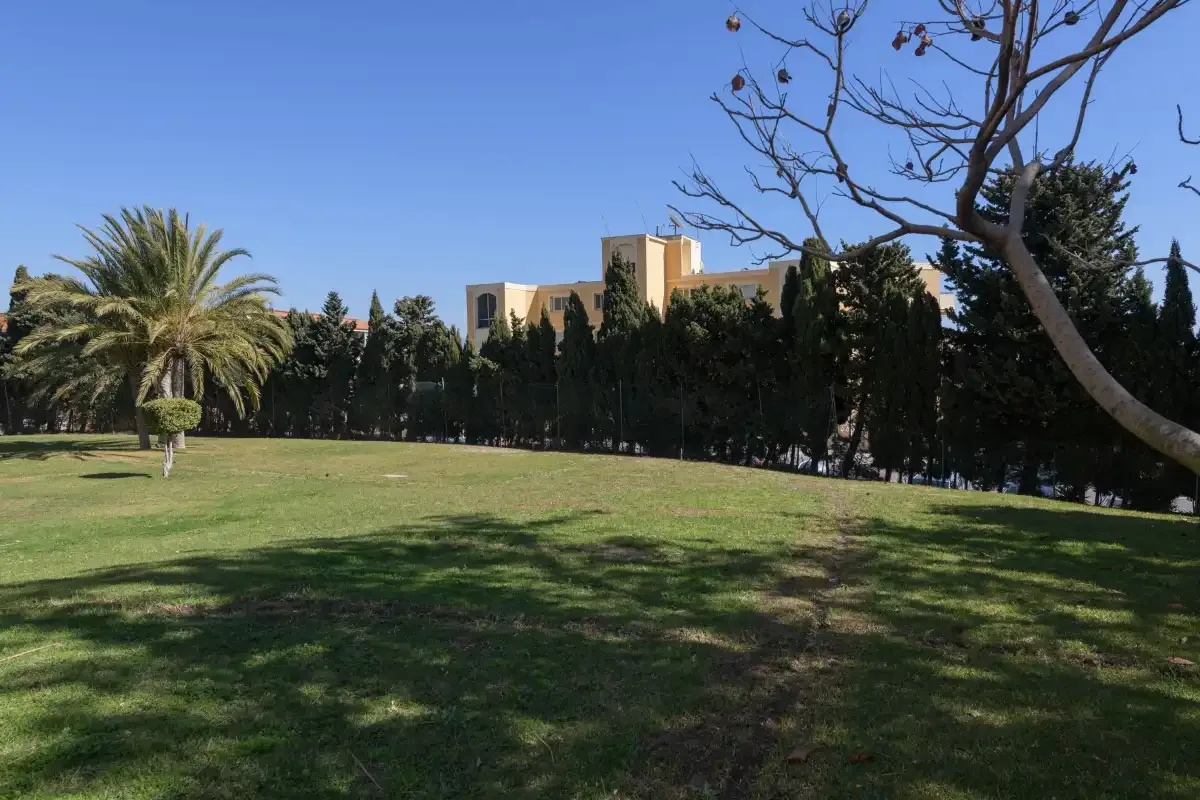 A landscaped lawn with trees and a building in the background.