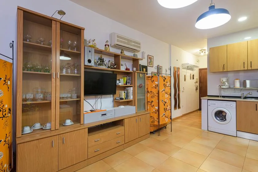 A furnished living area with wooden cabinets and a television beside a compact kitchen.
