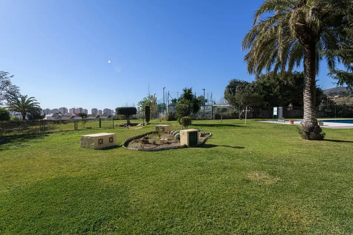A grassy outdoor recreation area with a palm tree and fenced sports courts.