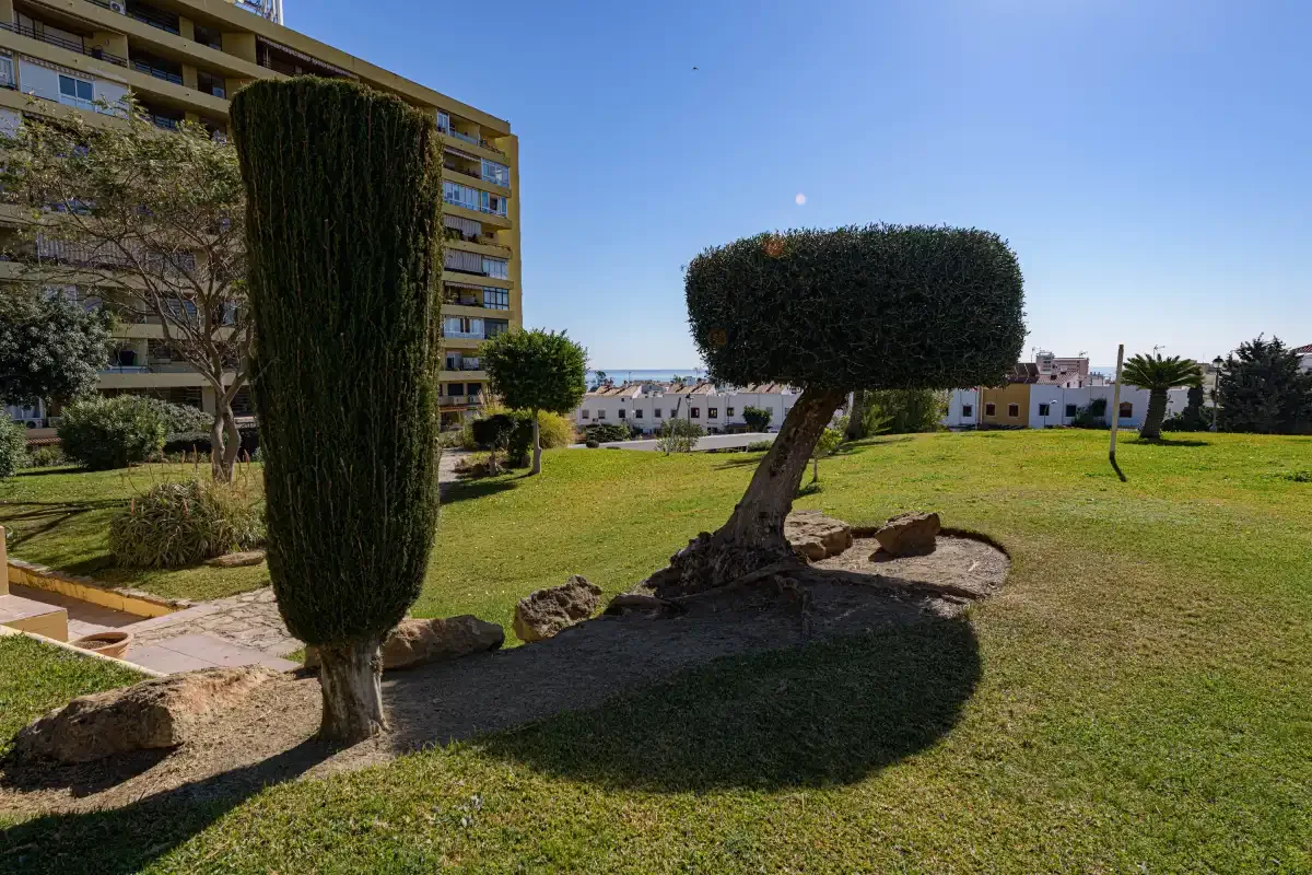 A landscaped courtyard with trimmed trees and a grassy lawn.