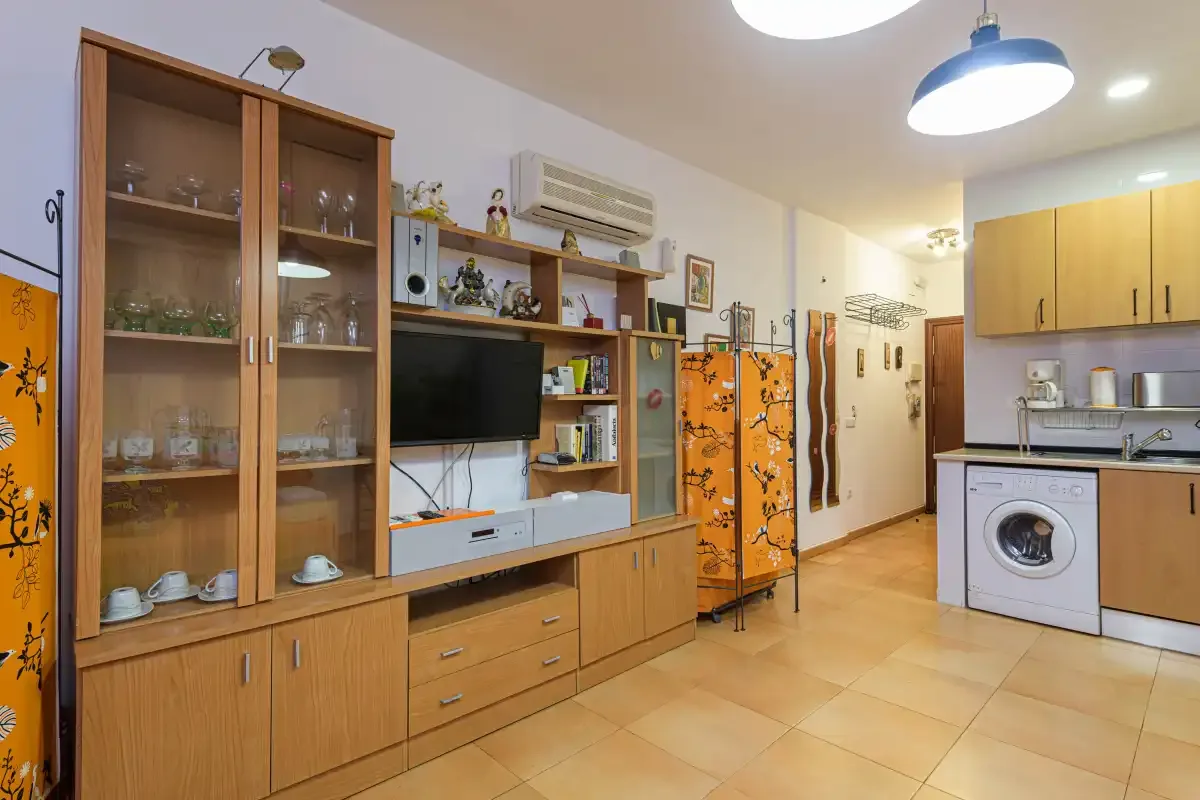 A combined living area and kitchenette with wooden cabinets and a television.