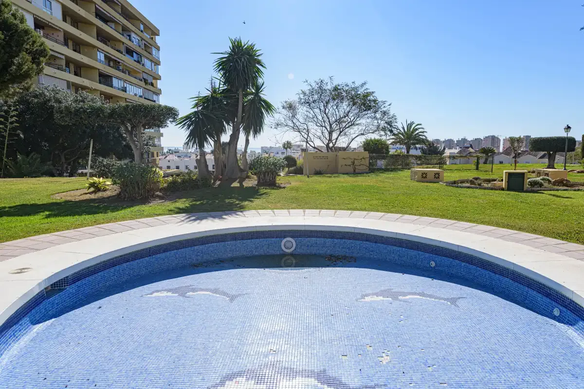 A curved swimming pool sits beside a grassy garden with palm trees.