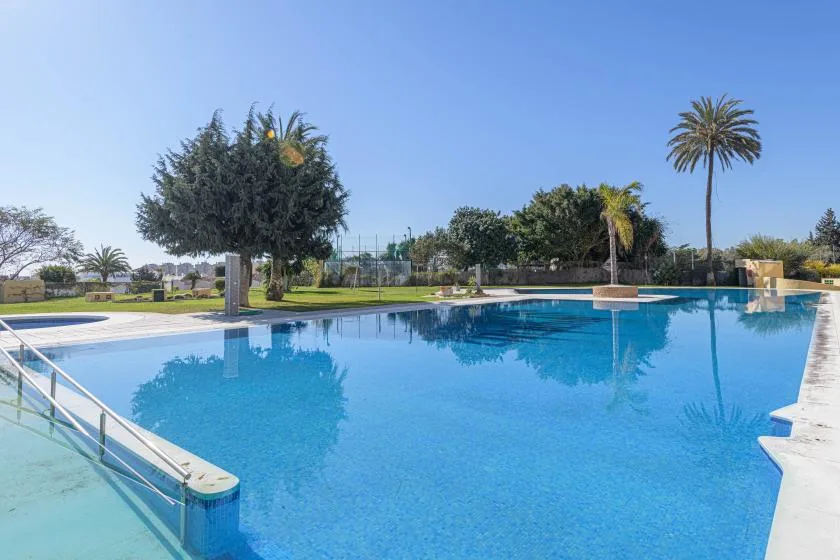 An outdoor swimming pool sits beneath a clear sky, with trees around its edge.