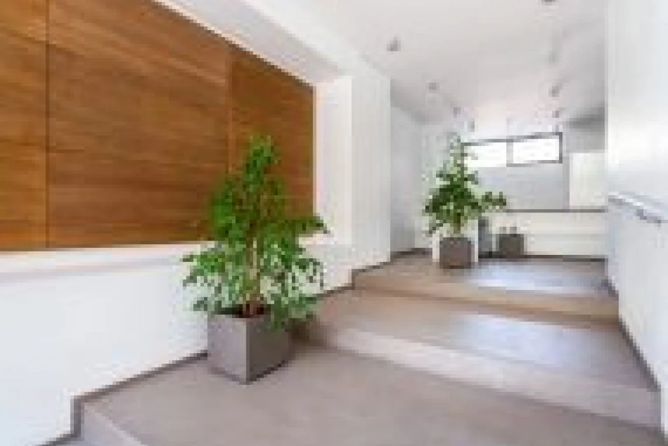 Un pasillo interior luminoso con plantas en macetas junto a unos escalones.