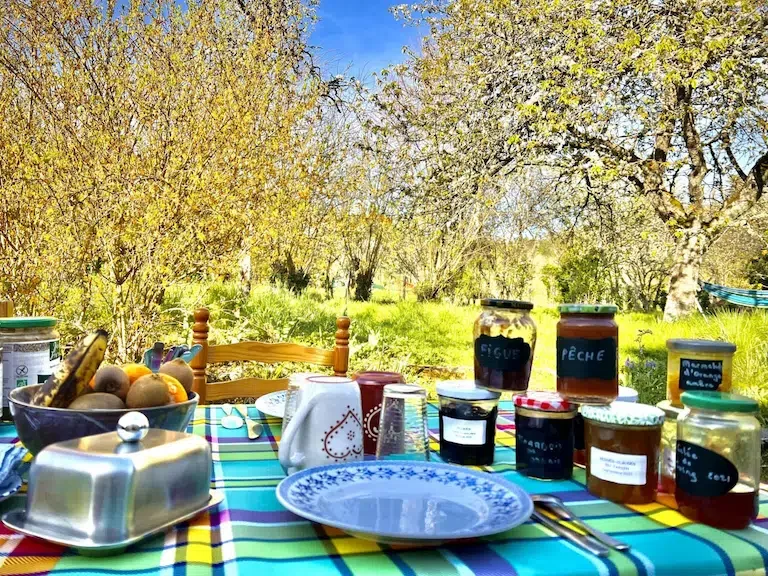 A vegetarian breakfast table set in the garden.