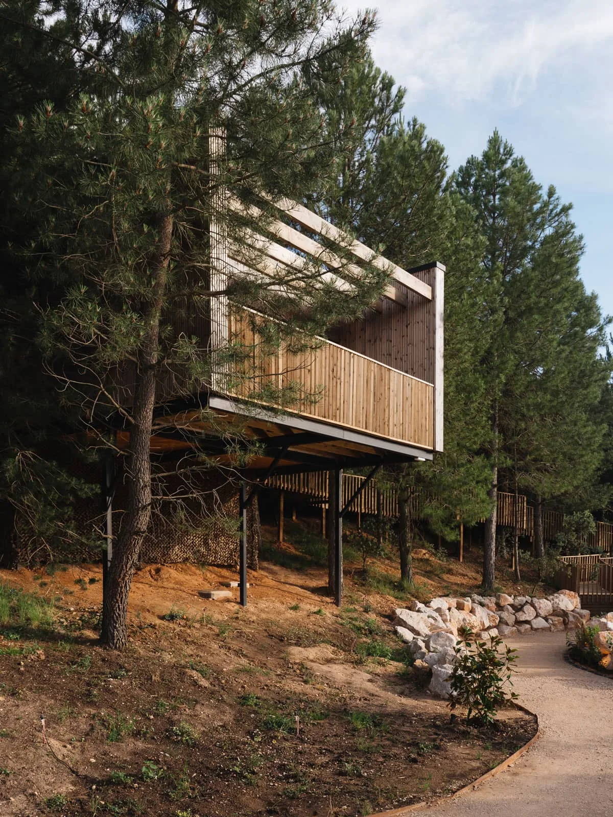 Suites entre los Arboles
