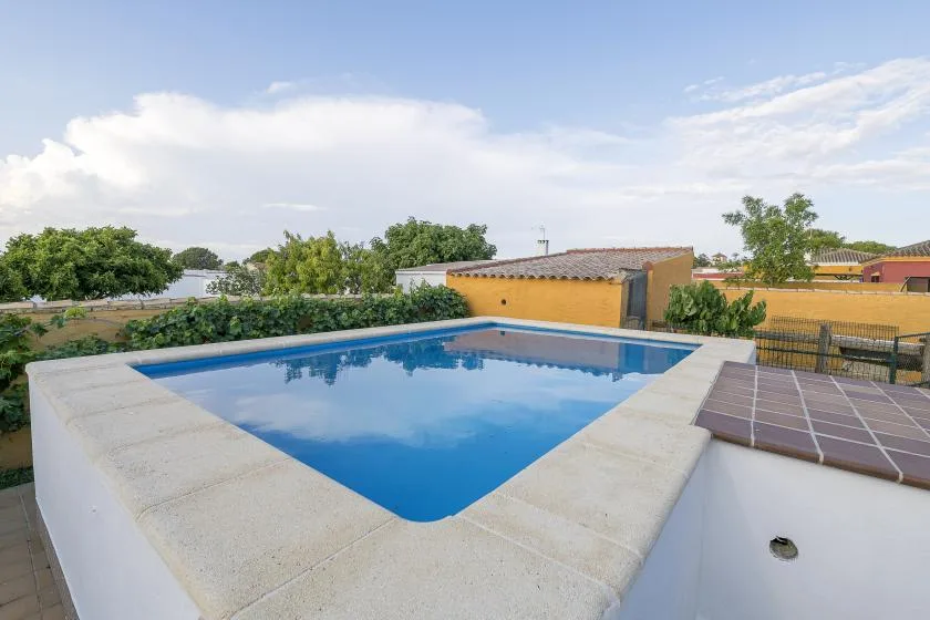 Outdoor swimming pool beside a tiled patio, with trees and low buildings in the background.