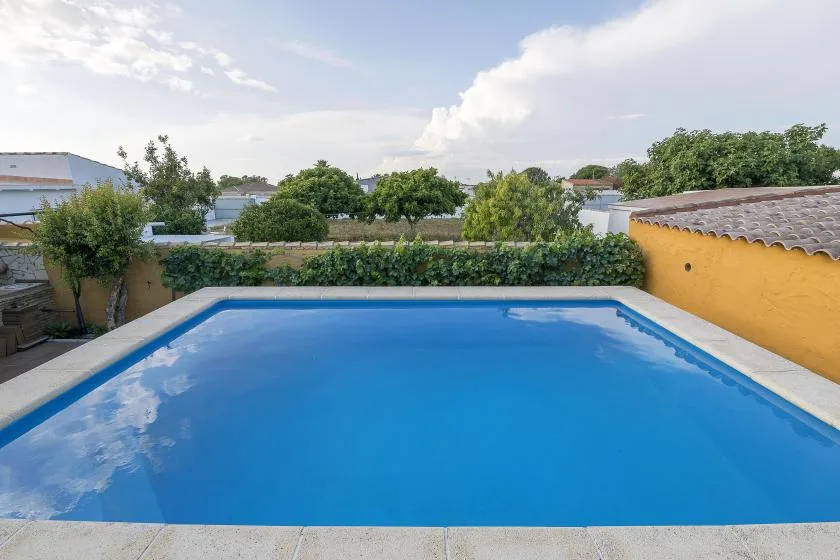 An outdoor swimming pool is bordered by paving, greenery, and a yellow wall.