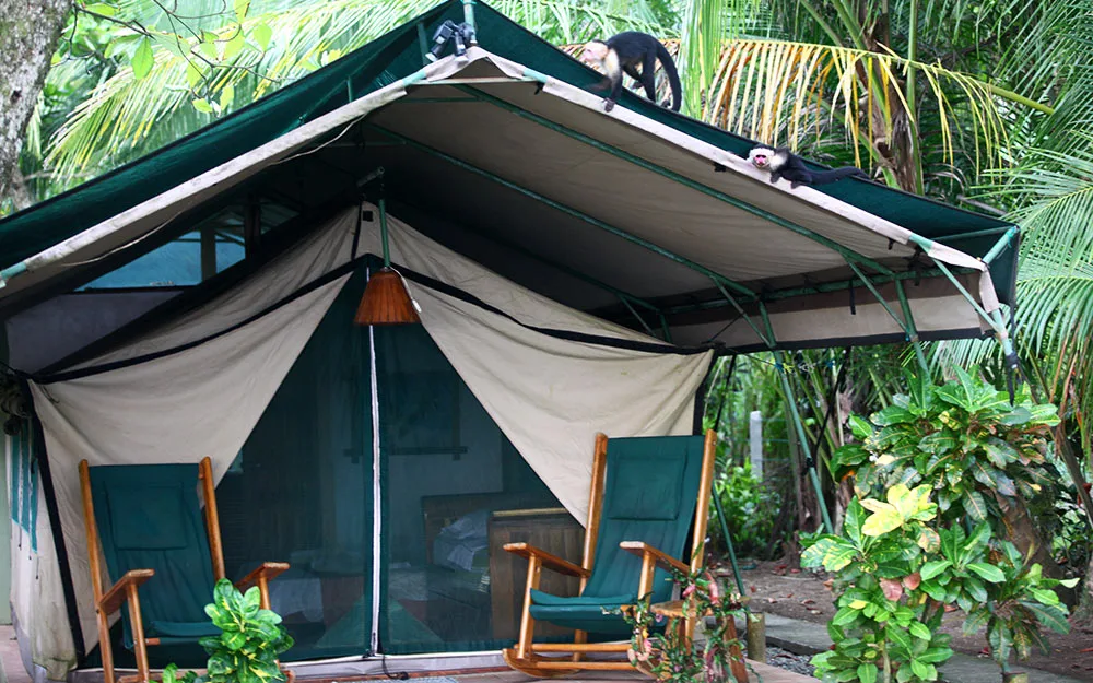 Camp property