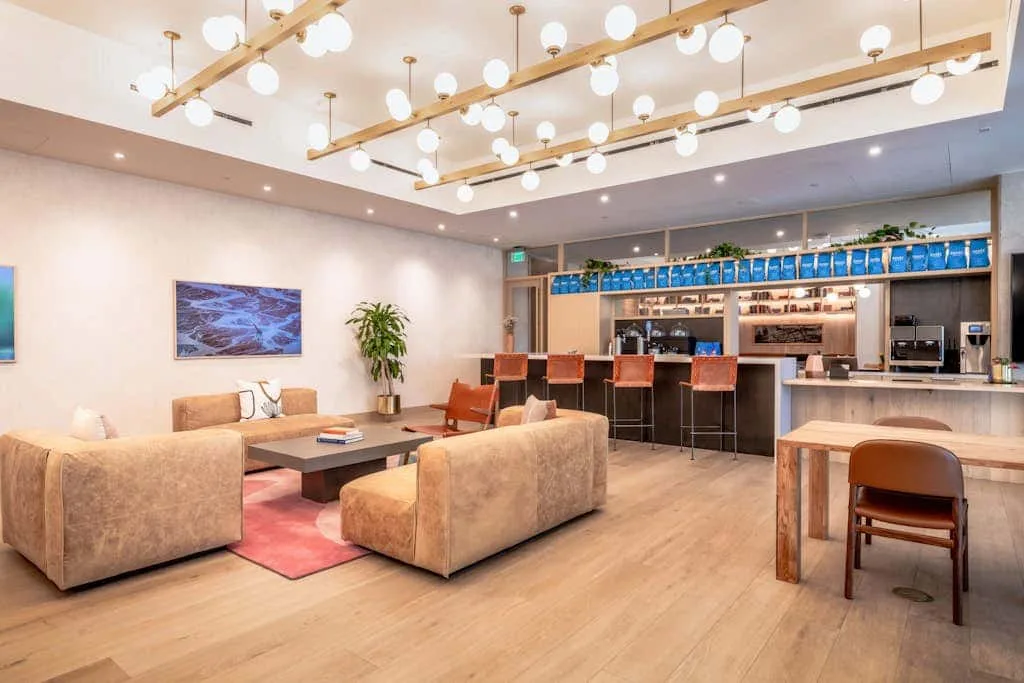 Una sala luminosa con asientos, una barra y lámparas colgantes decorativas.