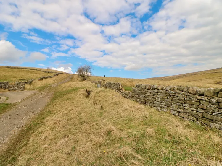 Un sendero rural de hierba bordea un muro bajo de piedra bajo un cielo nublado.