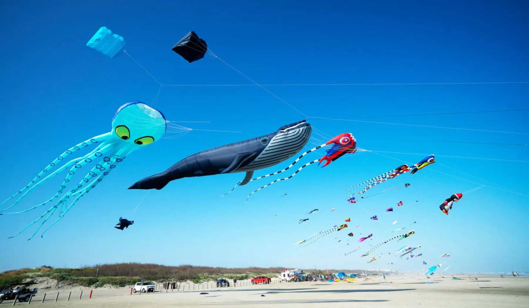 Colorful kites fly above a sandy beach under a clear blue sky.