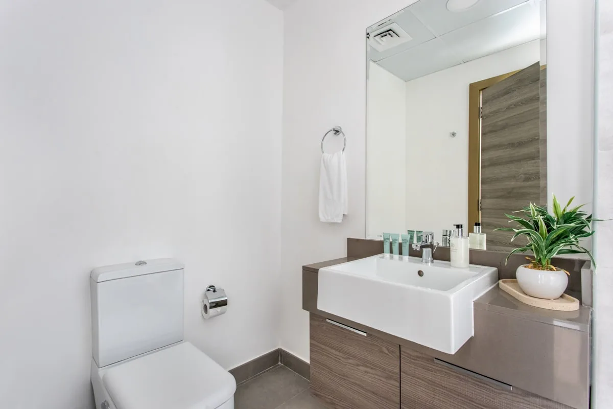 Un baño luminoso con lavabo, espejo y una planta en maceta.