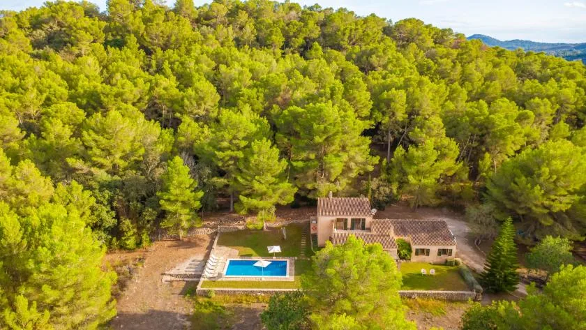 Aerial view of a house and swimming pool surrounded by dense trees.
