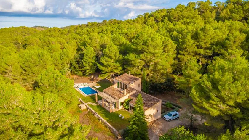 A house and swimming pool sit among dense green trees.
