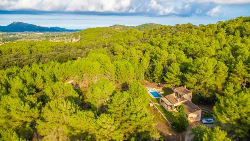 An aerial view of a wooded hillside with a house and swimming pool.