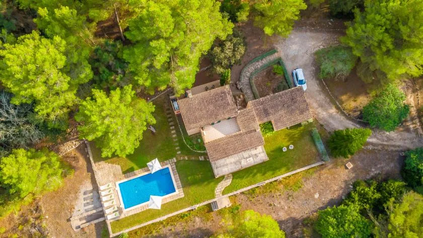 An aerial view of a house, swimming pool, and surrounding trees.
