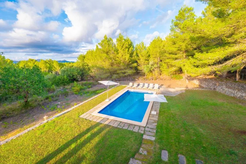 A swimming pool sits beside a grassy lawn, surrounded by trees.